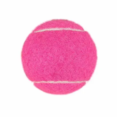 Fuchsia - Custom Tees Today