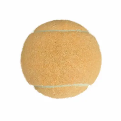 Rice Orange - Custom Tees Today