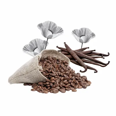 Black Opium - Custom Pro Prints