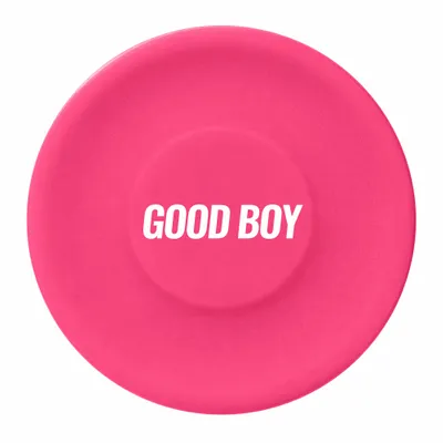 Pink - Hand Fans Now