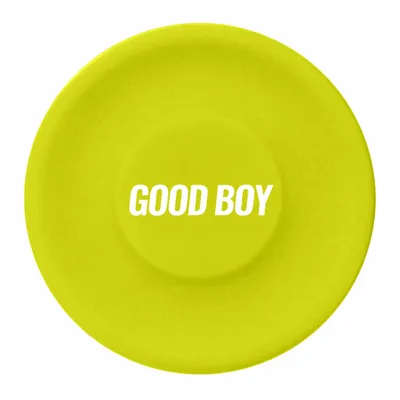 Neon Green - Hand Fans Now