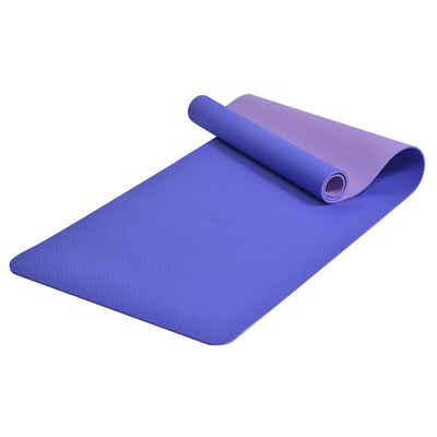 Purple and Light Purple