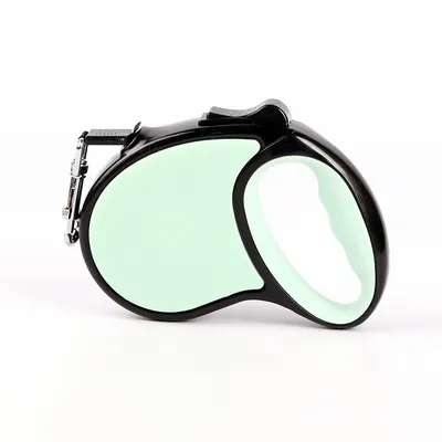 Mint Green - Tote Bags Now