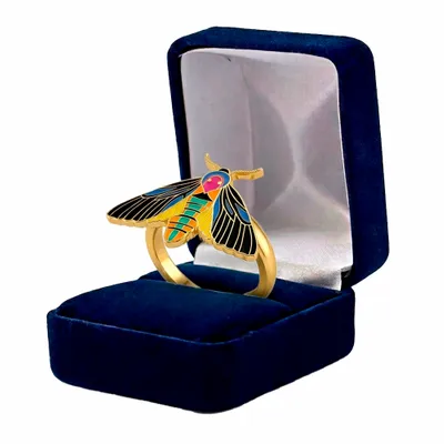 Blue Velvet Box - Custom Tees Today