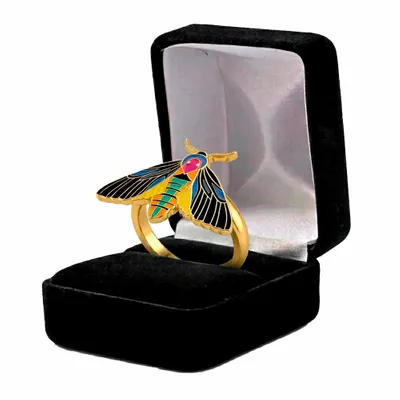 Black Velvet Box - Custom Tees Today