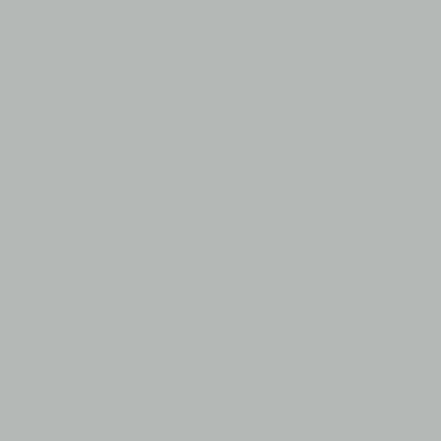 Light Gray - Tote Bags Now