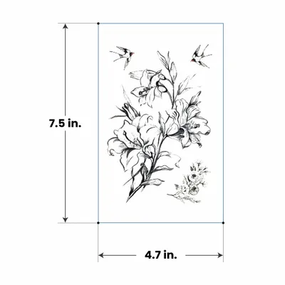 4.7 in x 7.5 in