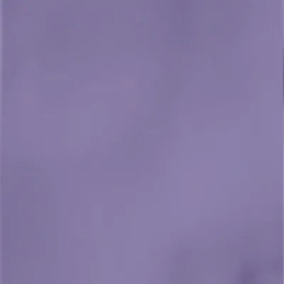 Light Purple - Challenge Coin Now