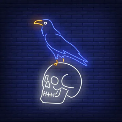 Crow Sitting Human Skull Neon Sign - Stealth Promo Co