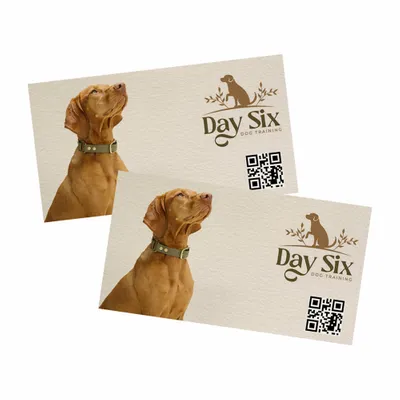 QR Businesss Cards - Stealth Promo Co