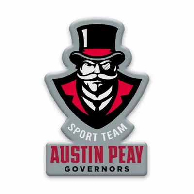 Custom Shaped Magnets - Stealth Promo Co