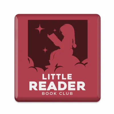 Ceramic Magnets - Stealth Promo Co