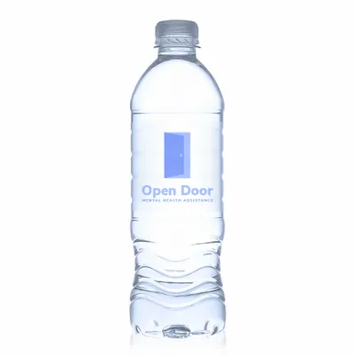 16.9 oz Standard Custom Label Water Bottles - Stealth Promo Co