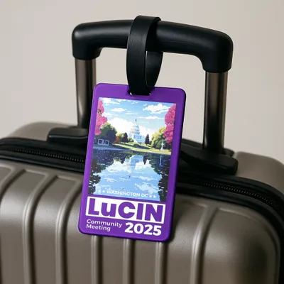 Soft PVC Luggage Tags - Stealth Promo Co