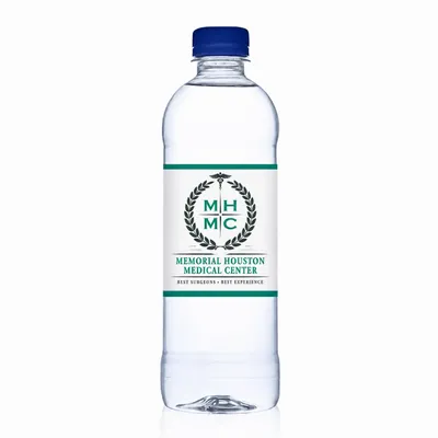 16.9 oz Bullet Bottles – Private Label Water - Stealth Promo Co
