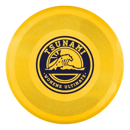Disco Volador - Custom Pro Prints