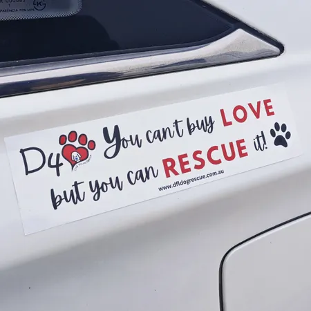 Bumper Stickers Bumper Stickers - Custom Tees Today