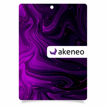 Carte porte-clés en plastique