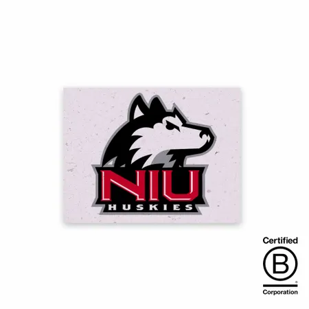 Seed Paper Panel Cards - Custom Tees Today