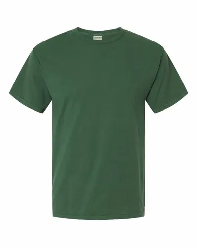 Champ vert