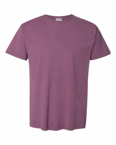 Prune violette Raisin