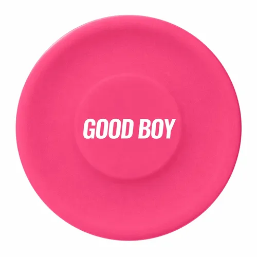 Pink - Hand Fans Now