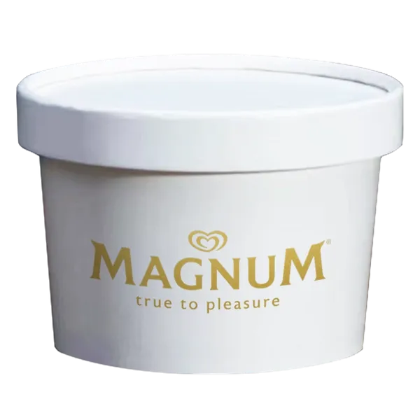 Ice Cream Container - Stealth Promo Co