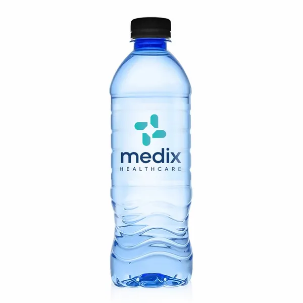 16.9 oz Blue Water Bottle - Custom Pro Prints