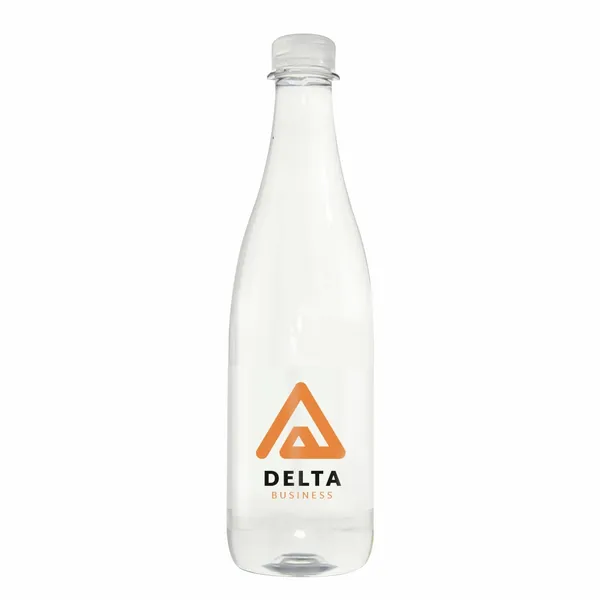 16.9 oz Champagne Style Water Bottle - Tote Bags Now