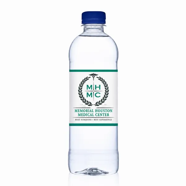 16.9 oz Bullet Bottles – Private Label Water - Custom Pro Prints