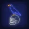 Crow Sitting Human Skull Neon Sign - Custom Shoe Charm
