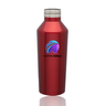 Jubilant Sip Insulated Water Bottles Red